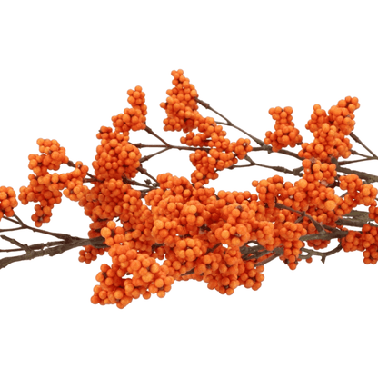 Kunst bessentak Callicarpa -oranje