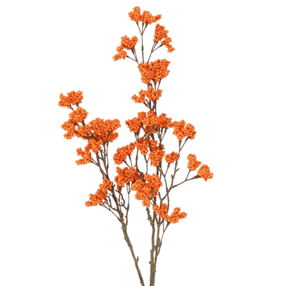 Kunst bessentak Callicarpa -oranje