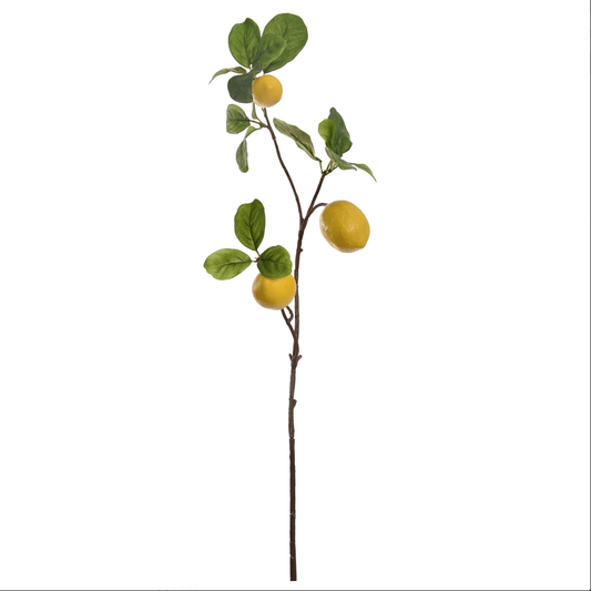 Kunsttak Citroen - 68cm hoog