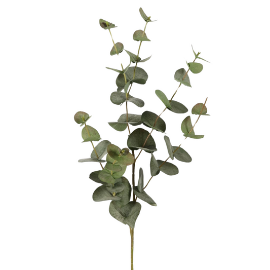 Zijden Eucalyptustak - 87cm hoog
