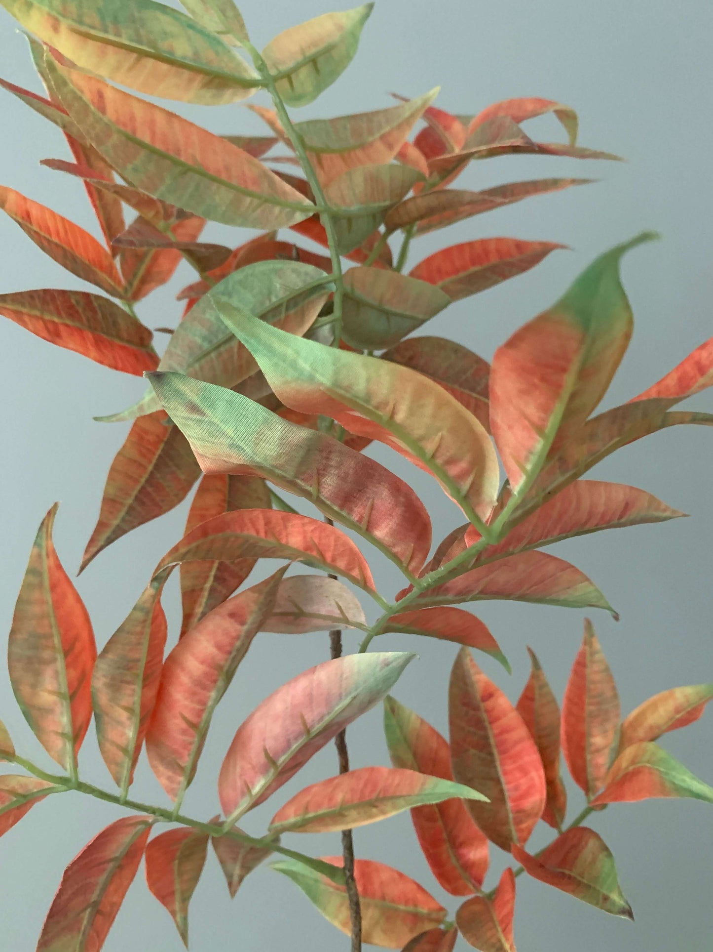 Kunsttak Peperberry Leaf