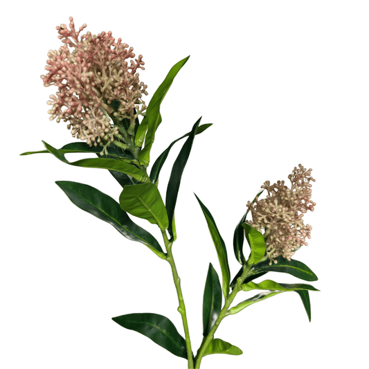 Kunsttak Skimmia bruin
