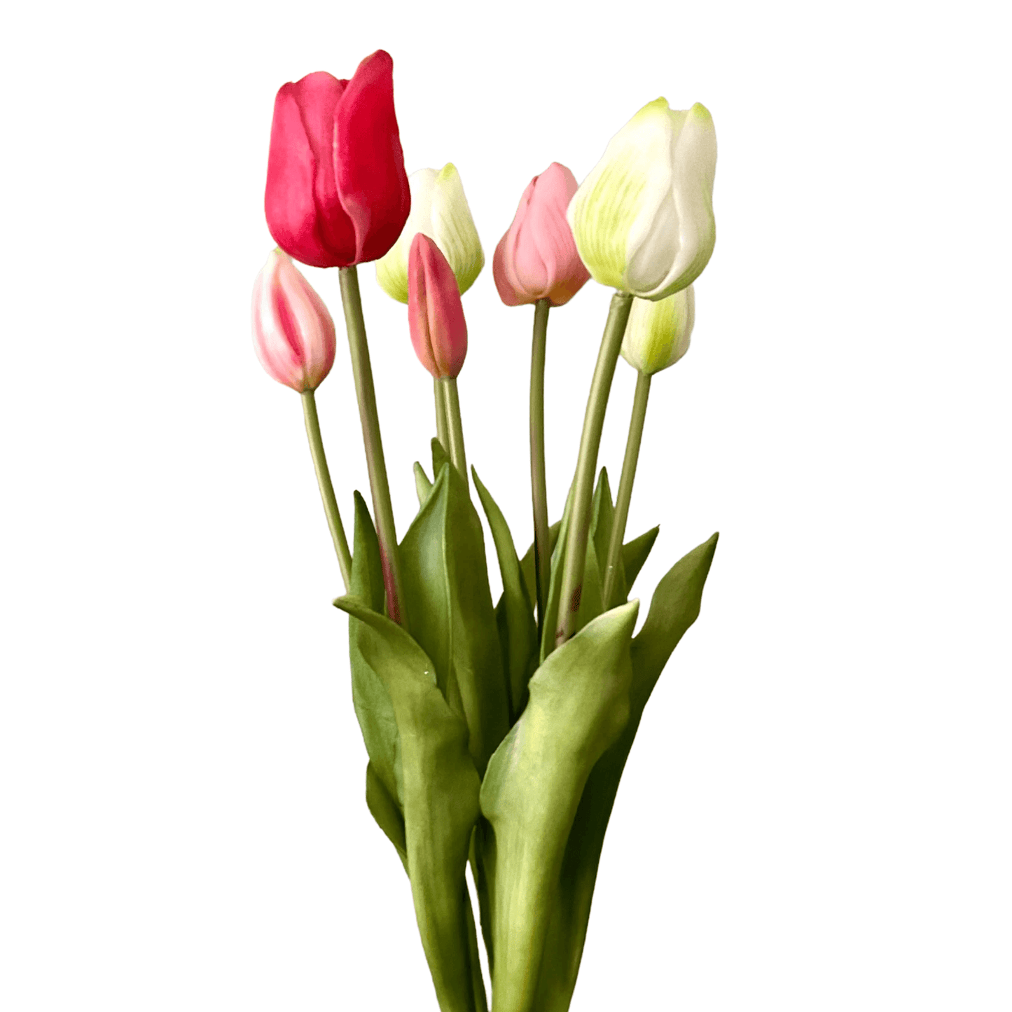 Tulpen bundel met 7 tulpen