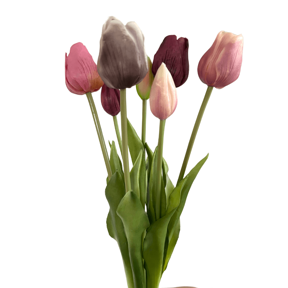 Tulpen bundel met 7 tulpen paars gemengd