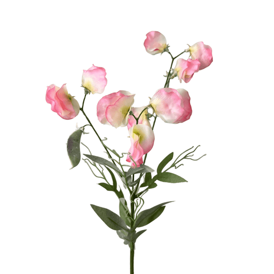 Zijden bloem Lathyrus roze