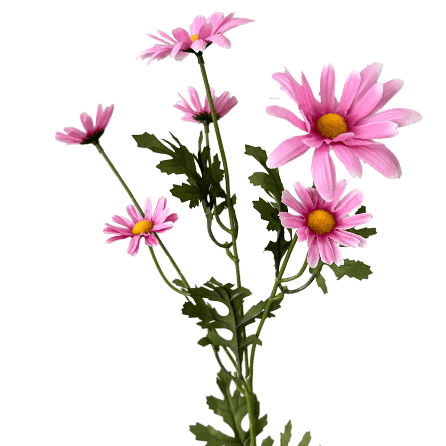 Zijden bloem margriet in het roze