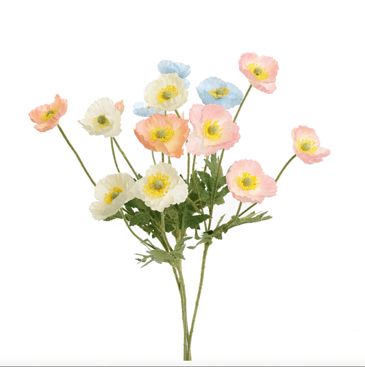 Boeketje papaver mix in pastel