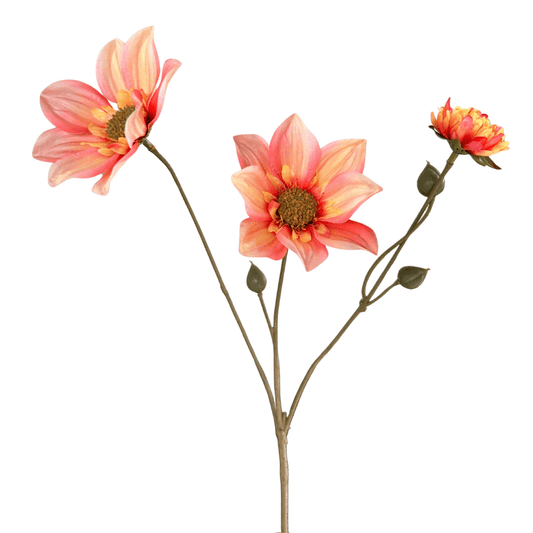 Kunst Rudbeckia-perzik - 65cm