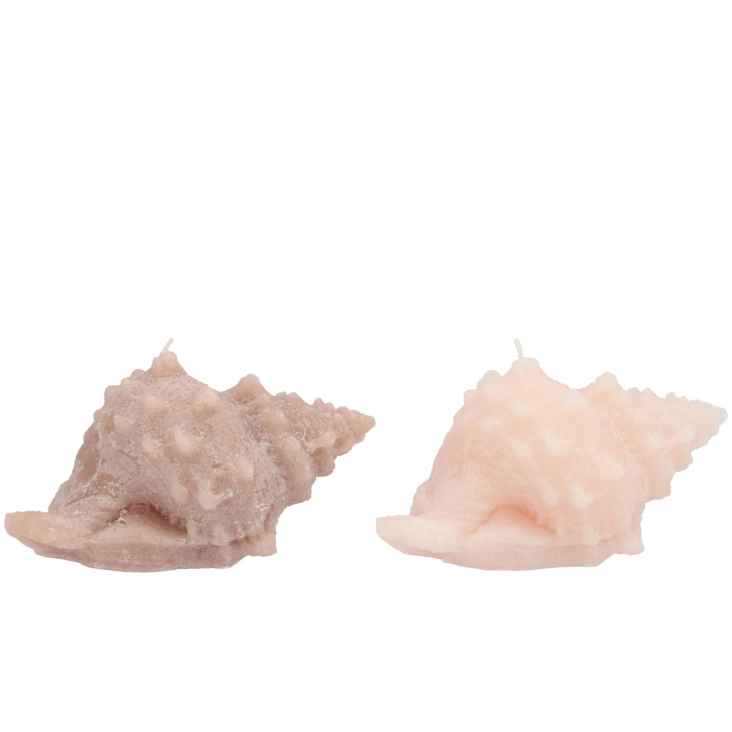 Schelpenkaars – zand & nude