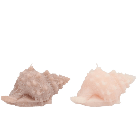 Schelpenkaars – zand & nude