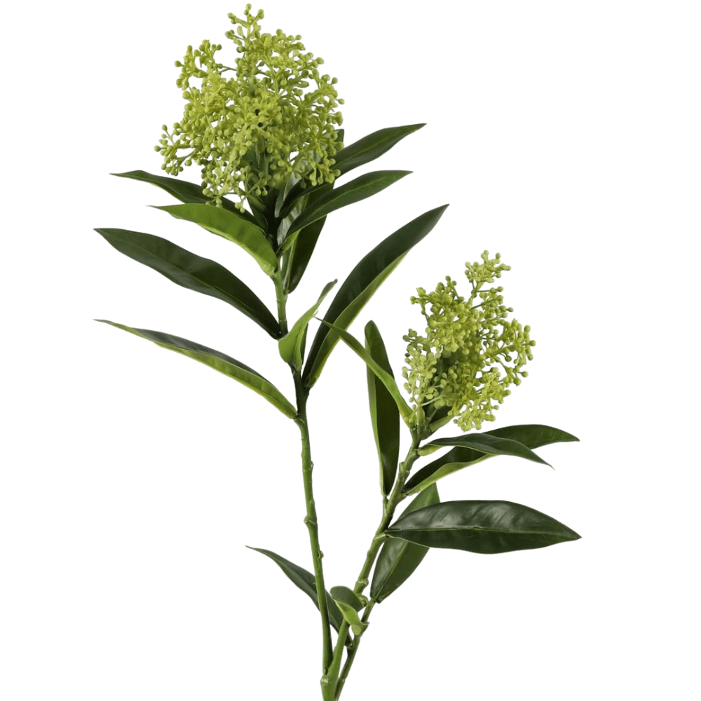 Kunsttak Skimmia - Groen