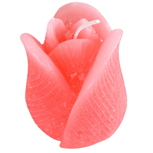 Tulpenkaars -Oranje/Roze