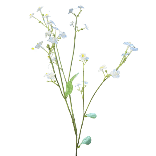 Zijden vergeet-me-niet bloemetjes in het wit