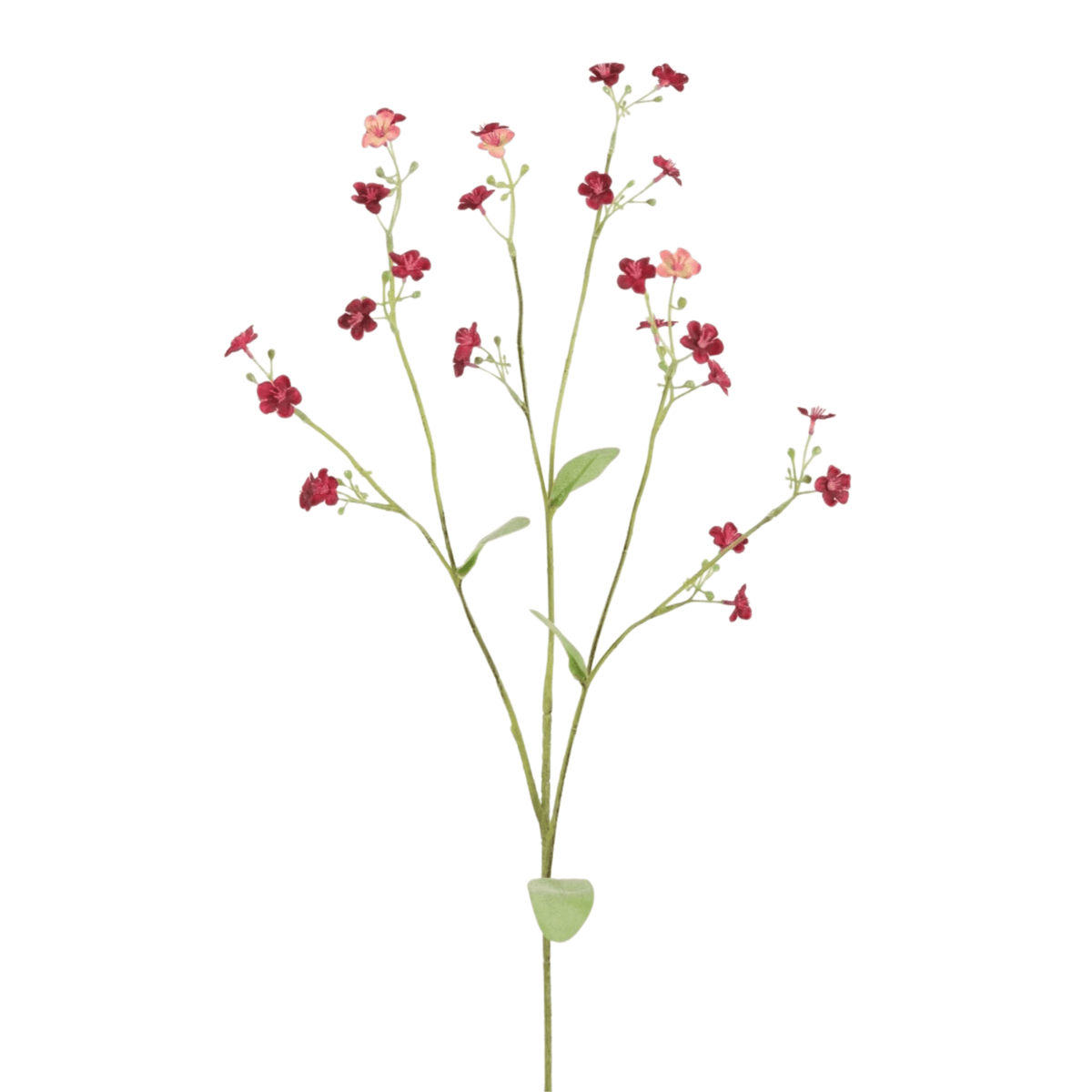 Seidene Vergissmeinnicht-Blüten - Rosa