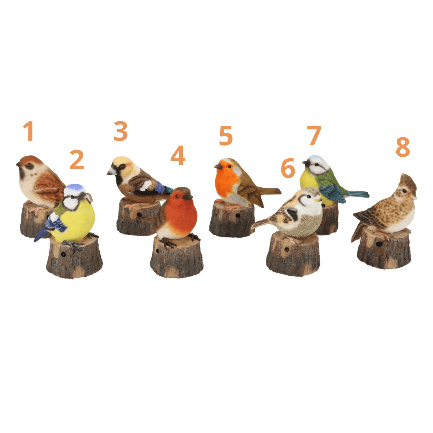 Vogeltje op boomstronk met vogelgeluid – keuze uit 8 soorten