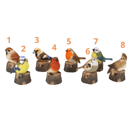 Vogeltje op boomstronk met vogelgeluid – keuze uit 8 soorten