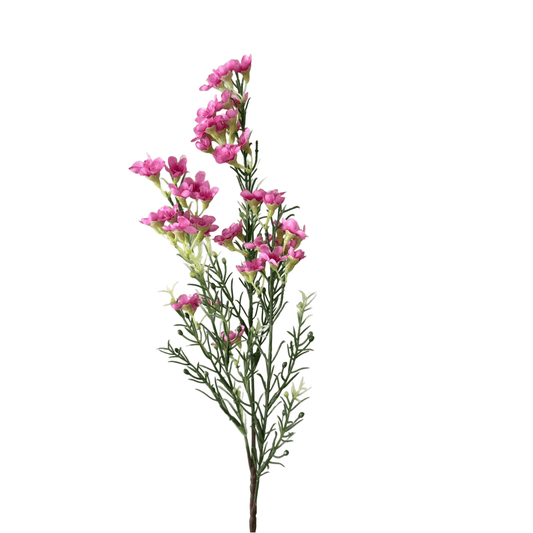 Kunstbloemen Wax flower donker roze