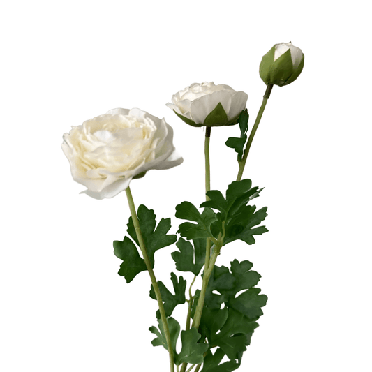 Zijden Bloem Ranonkel wit