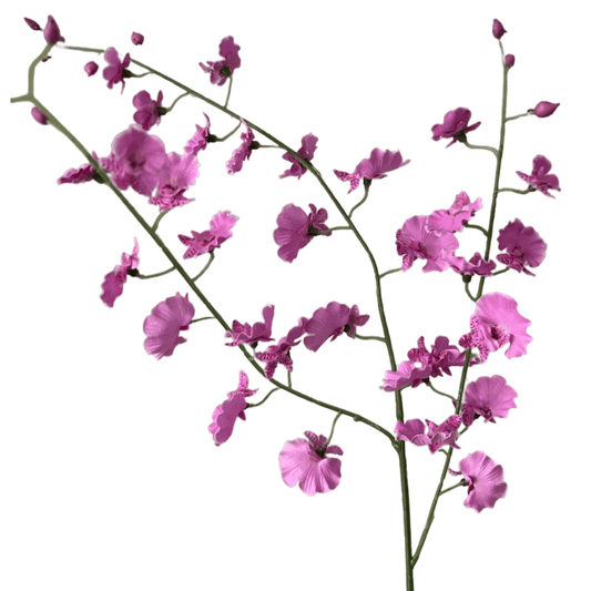 Zijden bloem Dancing Orchidee roze