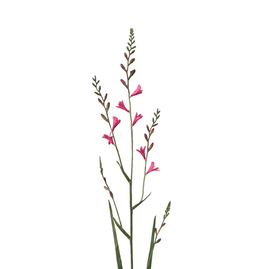Zijden bloem Crocosmia roze