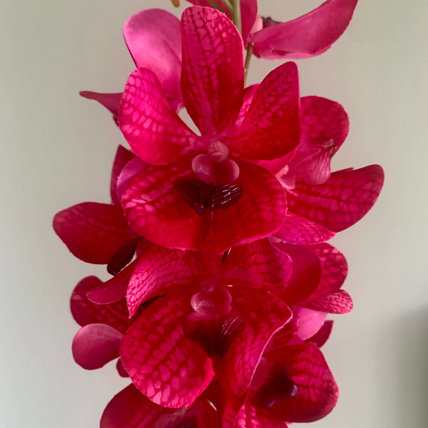 Zijden bloem Vanda Orchidee